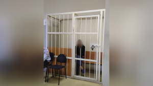 В Петербурге арестовали рецидивиста, надругавшегося над девушкой на остановке по улице Комсомола