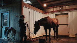 На Кубани лошадь придавила 16-летнюю спортсменку сборной России, девочка может умереть