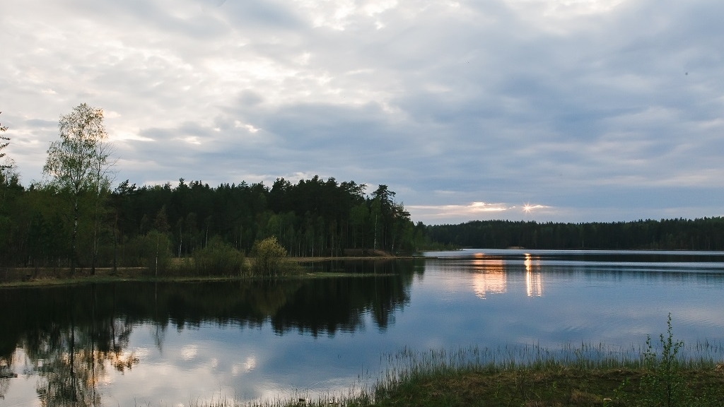 «BIZPEOPLE FAMILY» проведет масштабный бизнес-фестиваль этим летом