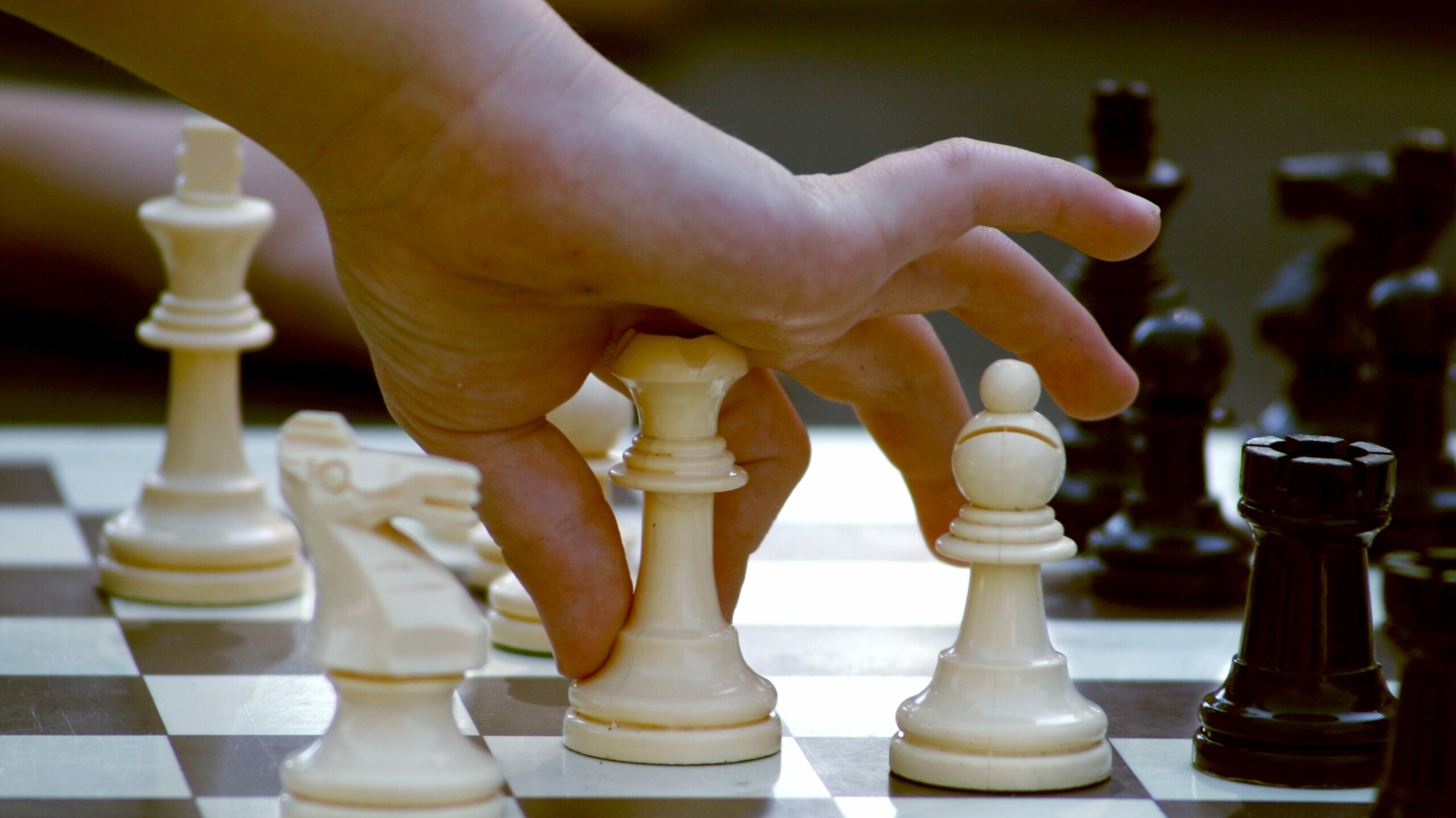 В Петербурге начались первые районные этапы шахматного турнира