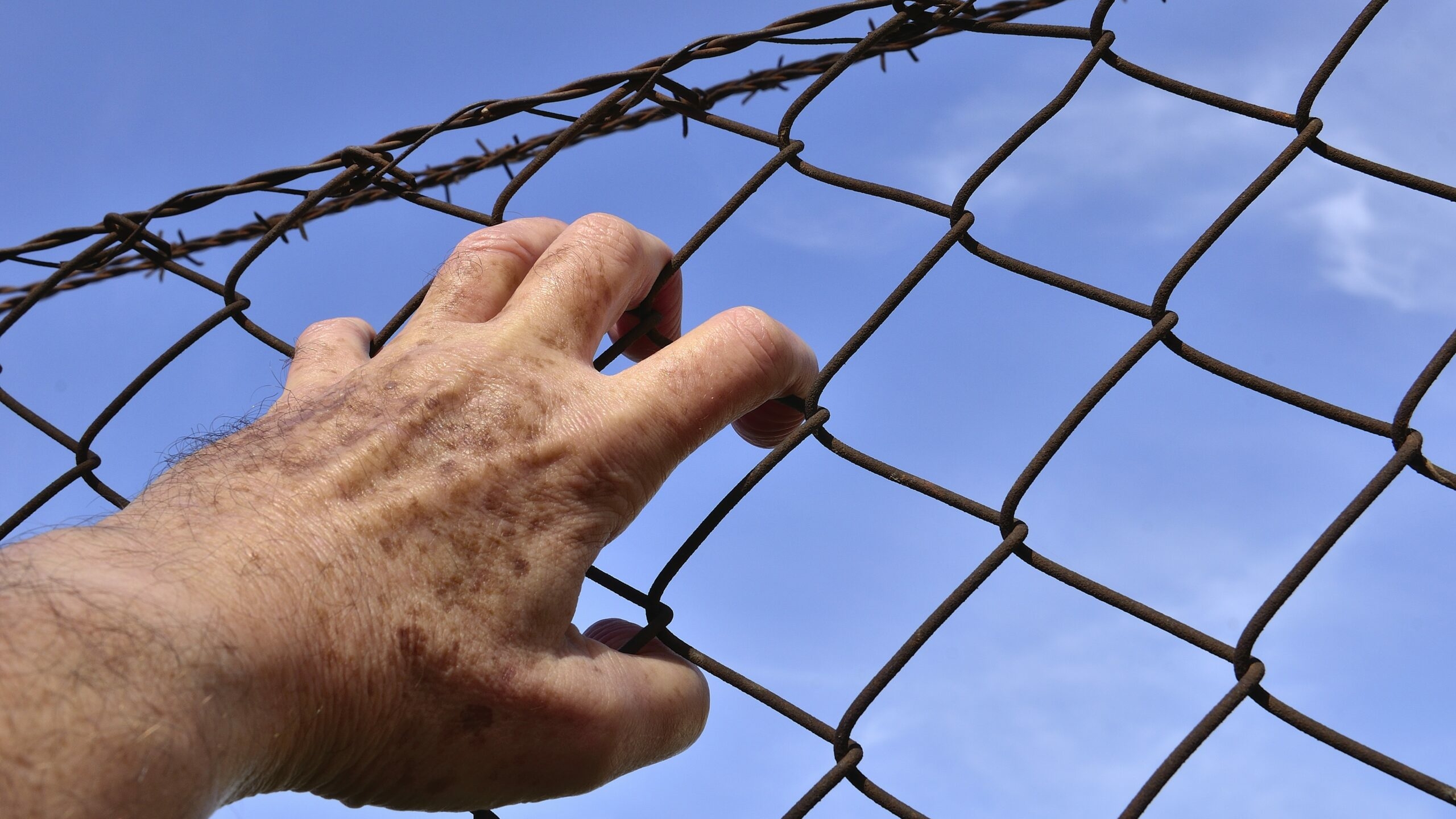 Девственник в 71 год: пожилой мужчина построил четырехметровый забор, чтобы защититься от женщин