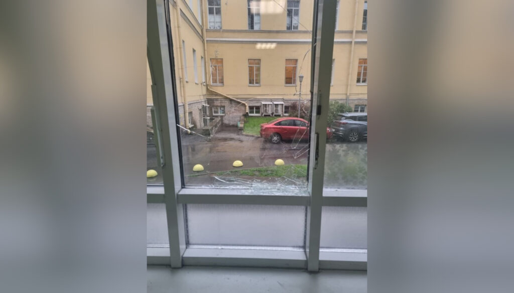 Видео с мажоркой Марой Багдасаян в обезьяннике УВД