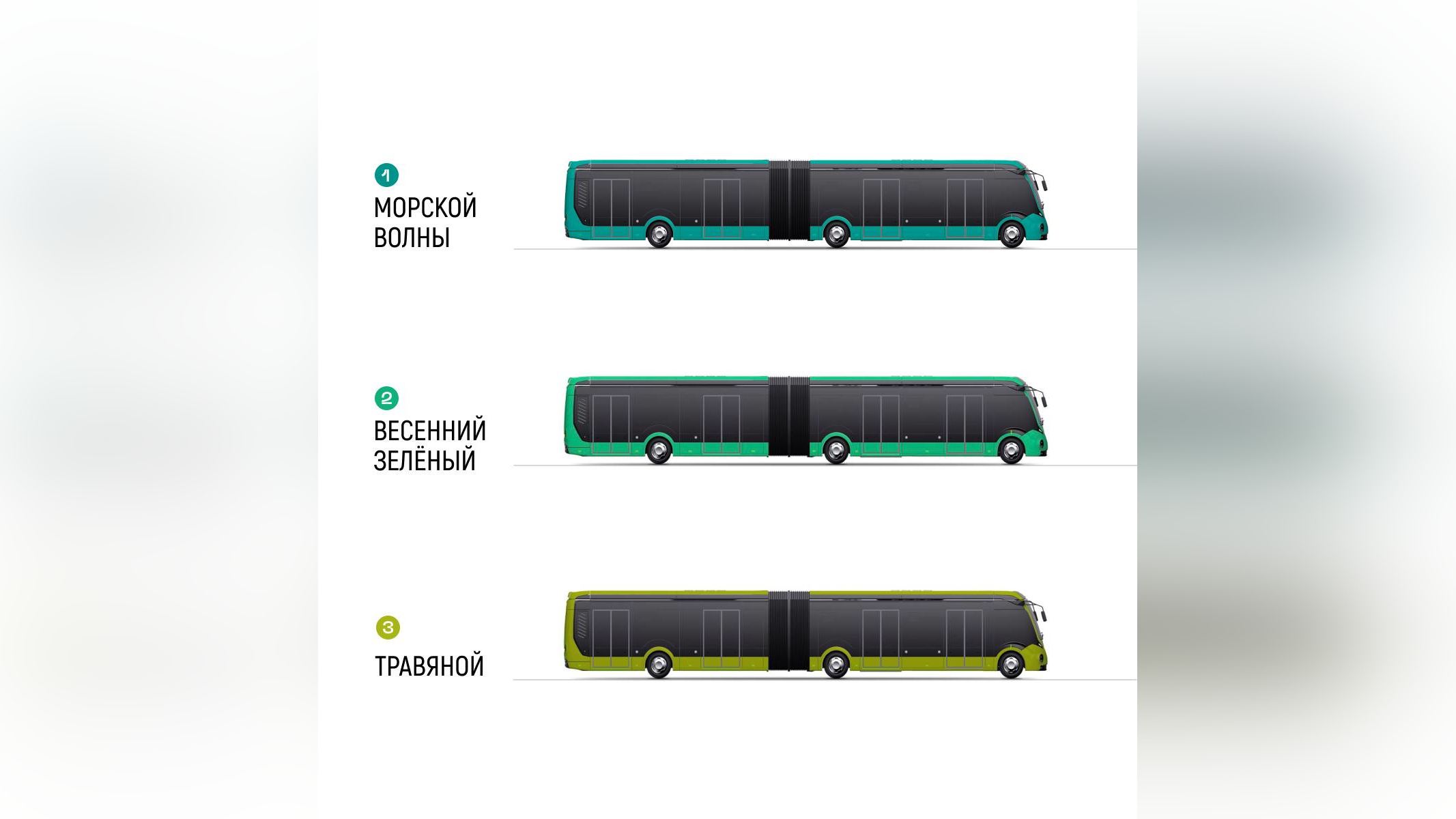 Петербуржцы смогут выбрать единый цвет для городских электробусов
