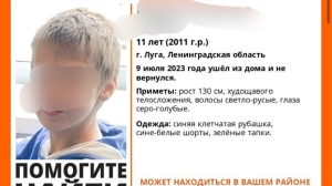 Под Петербургом сутки не могут найти пропавшего 11-летнего мальчика