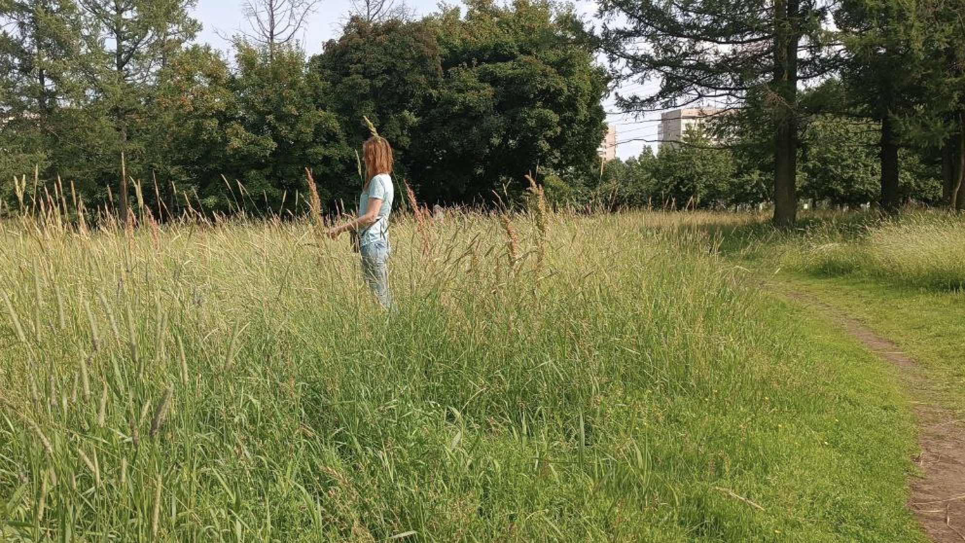 Превратился в дикие места: петербуржцы пожаловались на поросший сорняками ростом с человека парк имени Сахарова