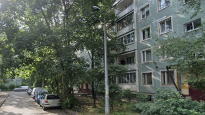 Суд приговорил жестоко зарезавшего петербурженку средь бела дня у дома на Симонова к 12 годам колонии