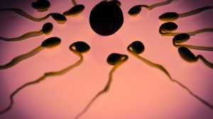 Ученые: всего один микроэлемент приводит к мужскому бесплодию