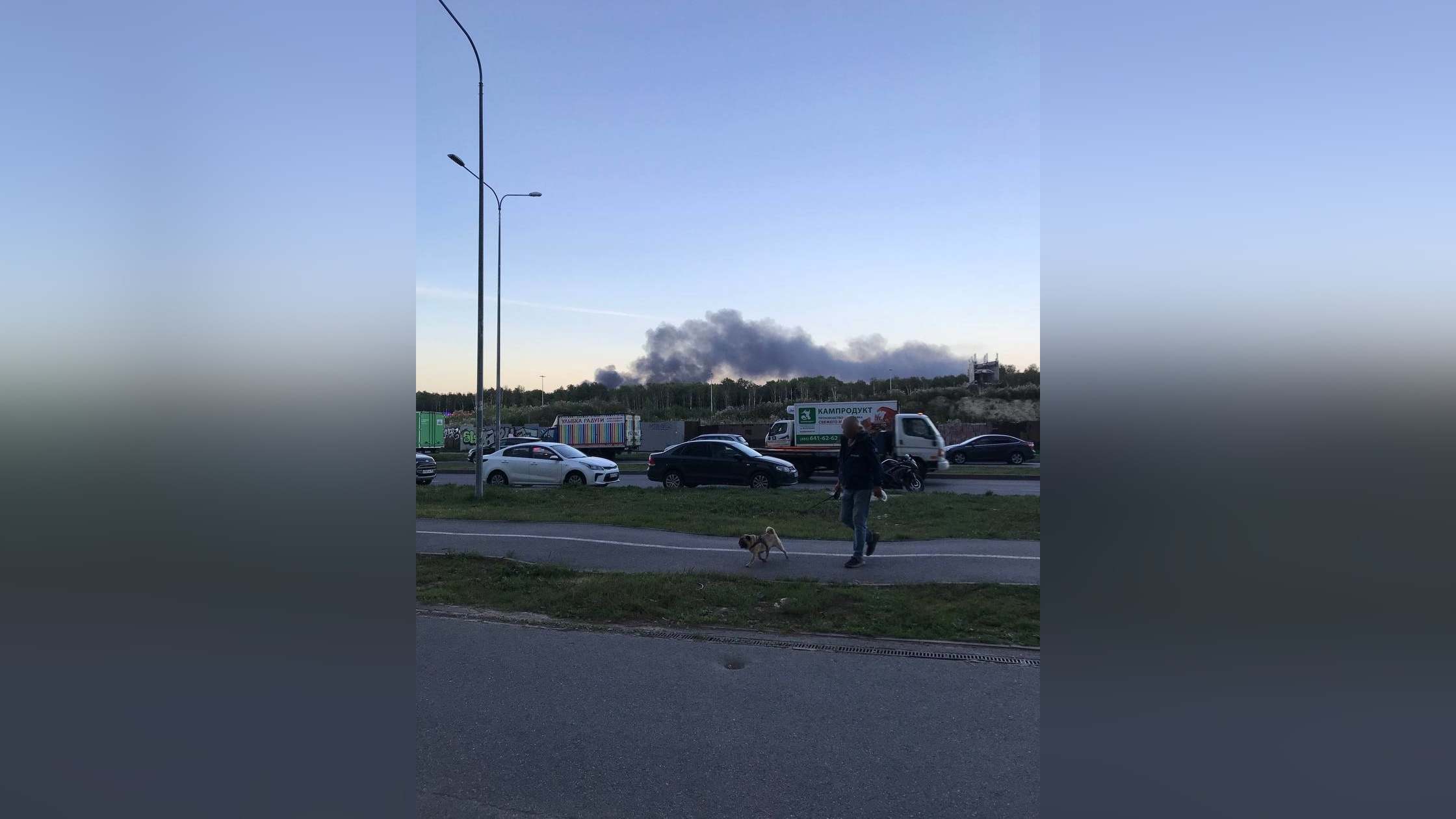 В небе над Ленобластью поднялся столб серого дыма из-за пожара в Новосергиевке