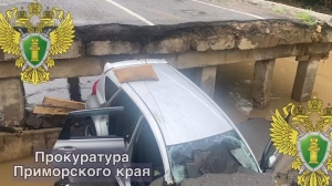 После проезда легковушки рухнул мост в Приморье