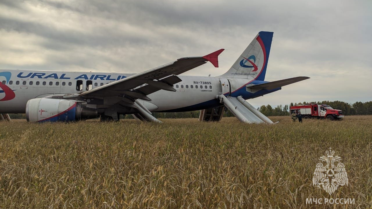 Названы возможные причины экстренной посадки самолета под Новосибирском