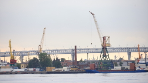 Грузовое судно из Панамы привезло в Петербург больше 8 килограммов наркотиков