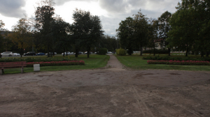 В парке Сосновка разбойники изрезали гендиректора петербургской компании и оставили его без миллиона рублей