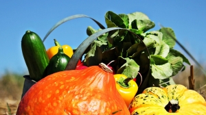 Петербуржцам назвали топ-5 полезных осенью продуктов