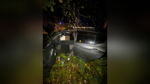 Водитель легковушки погибла в столкновении с деревом под Петербургом