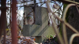 Житель Екатеринбурга замерз насмерть в кустах у могилы