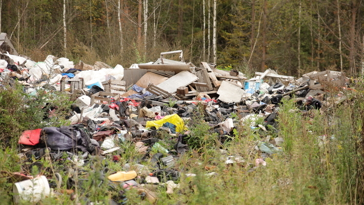 За 2023 год в Петербурге и области планируют собрать больше 2,3 млн тонн мусора
