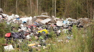 За 2023 год в Петербурге и области планируют собрать больше 2,3 млн тонн мусора