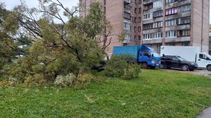 Бушевавший в выходные шторм снес в Петербурге 150 деревьев