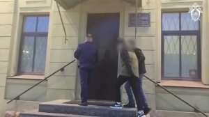 Задержан еще один участник банды хулиганов, нападавших на петербуржцев