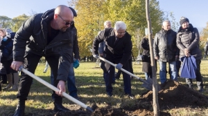 В Сквере Памяти посадили липы в честь погибших участников СВО