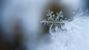 Снежура и ледяные шары: природа удивляет жителей Петербурга необычными явлениями