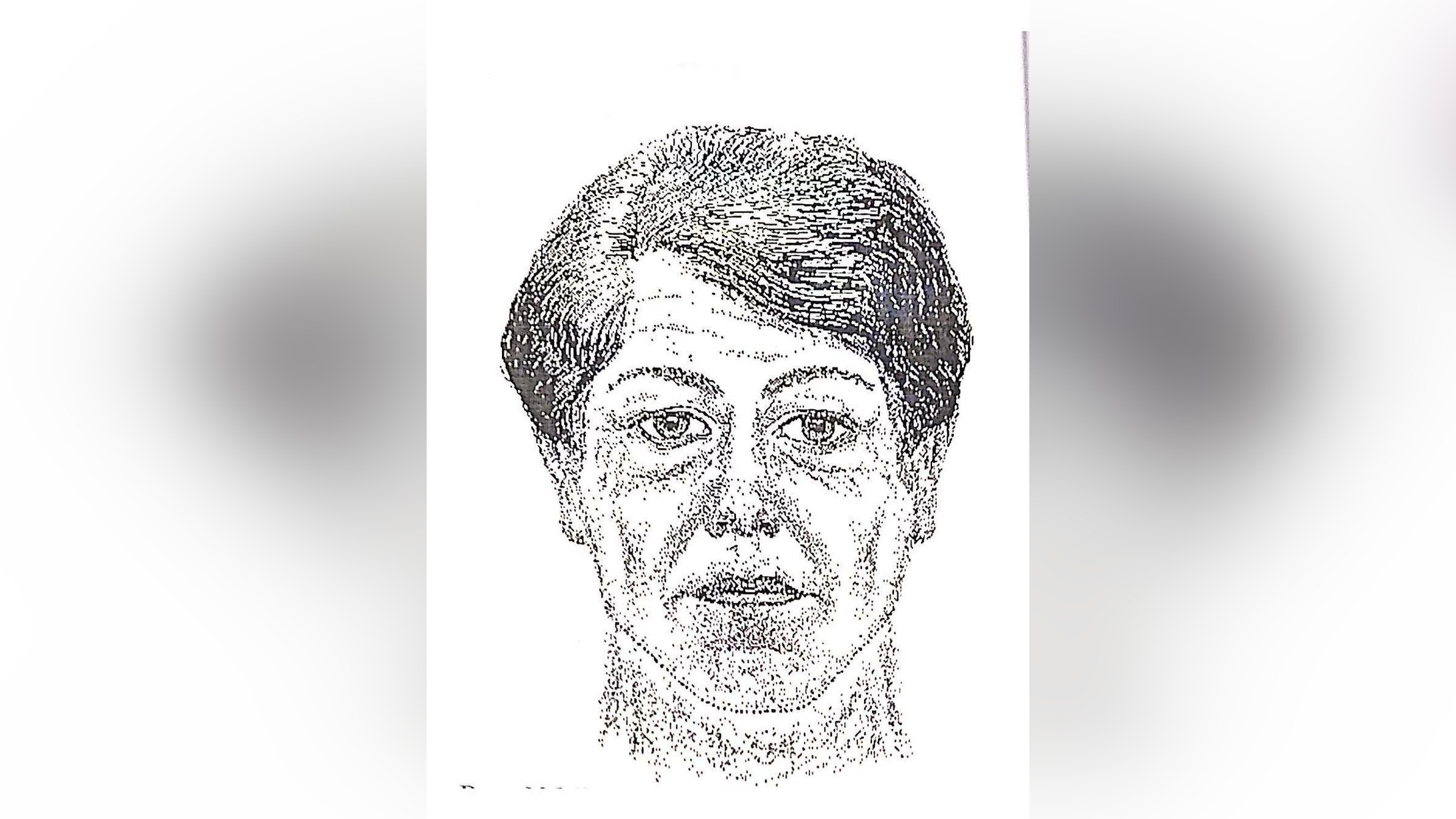 Следователи попросили ленинградцев помочь в расследовании таинственной гибели женщины: ее отрубленную голову нашли на кострище