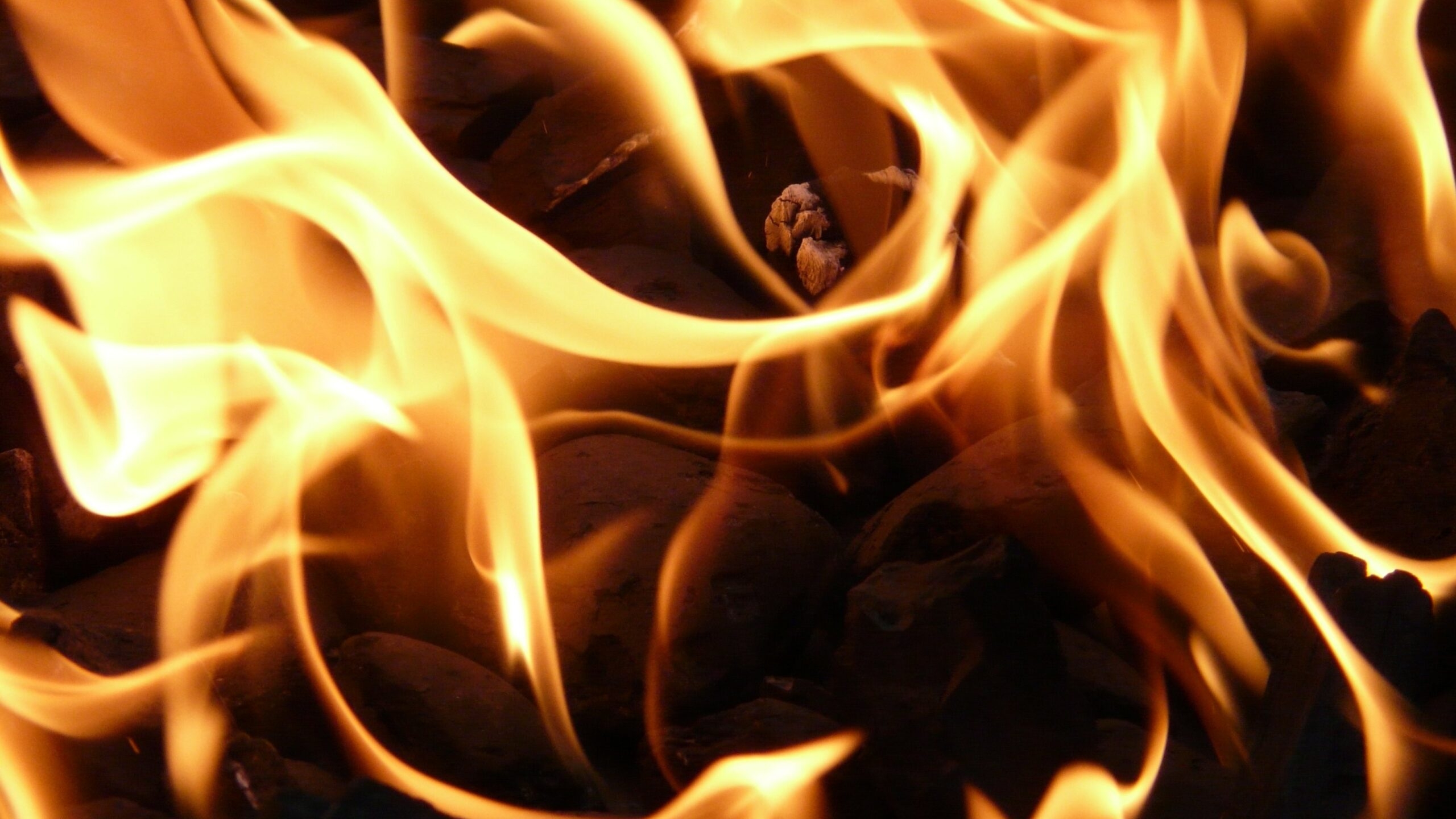 Ночной пожар в Колпино унес жизнь одного человека