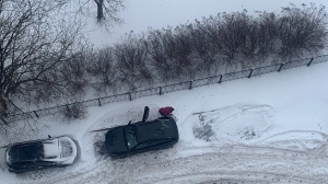 Петербург установил рекорд по количеству выпавшего снега