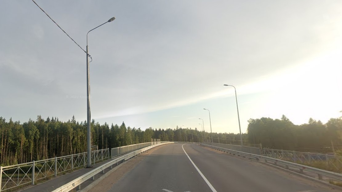 Нет «Ленсвета»: петербуржцы пригласили власти насладиться «Чудом тьмы» на Белоостровском шоссе
