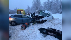 В Шапках спасатели доставали раненного водителя из размазанного после лобового удара авто