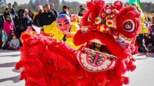 Китайский Новый год в Петербурге устроит подрядчик комитета по внешним связям