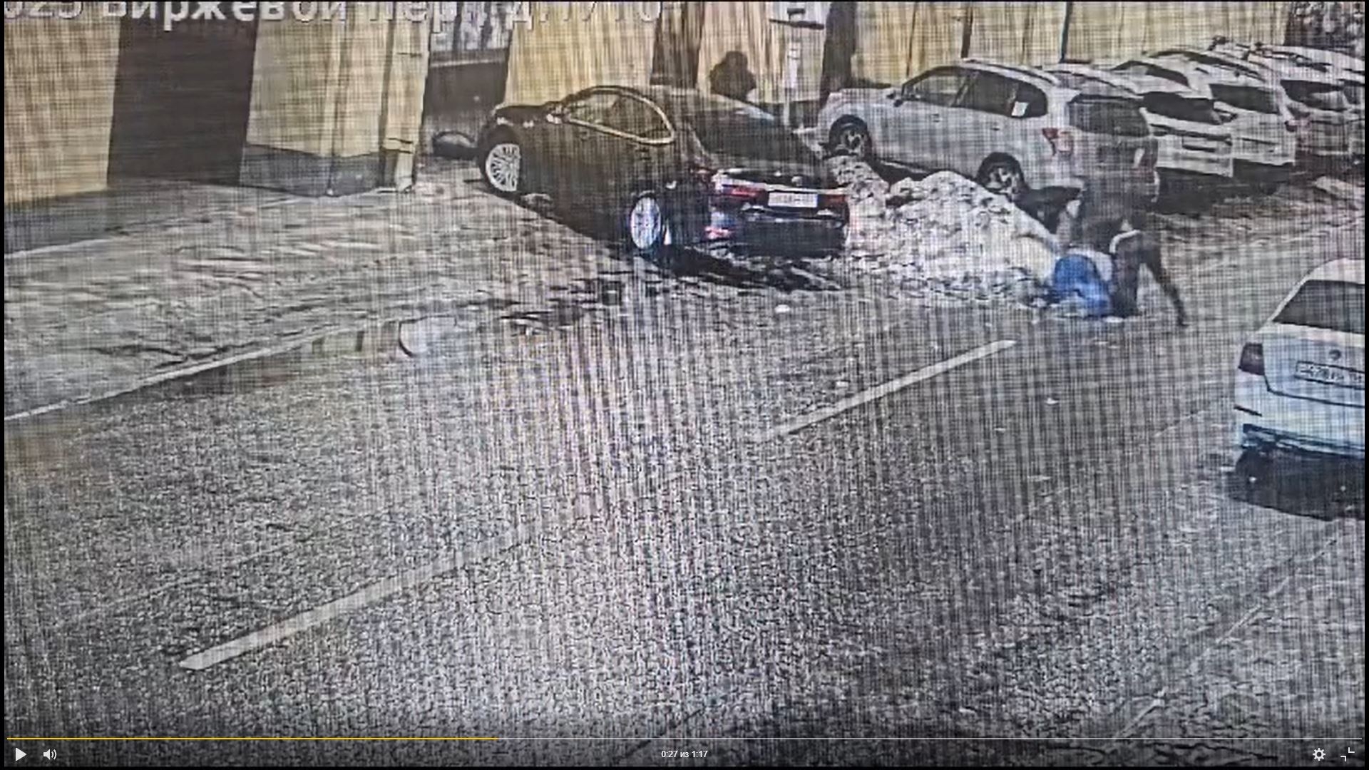 Двое петербуржцев избили участника СВО на Биржевой из-за замечаний о парковке: их задержали