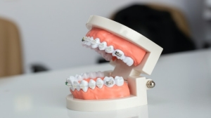 Зубы на полку: стоматология на Королева закупается пластиковыми челюстями на 900 тысяч