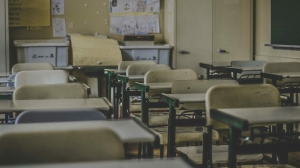 В Ленобласти задержали учительницу за сексуальные домогательства к четверокласснику