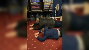 В Петербурге полиция накрыла подпольное казино с доходом в 13 млн рублей