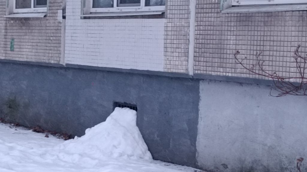 Петербургские коммунальщики сугробами убивают городских котов