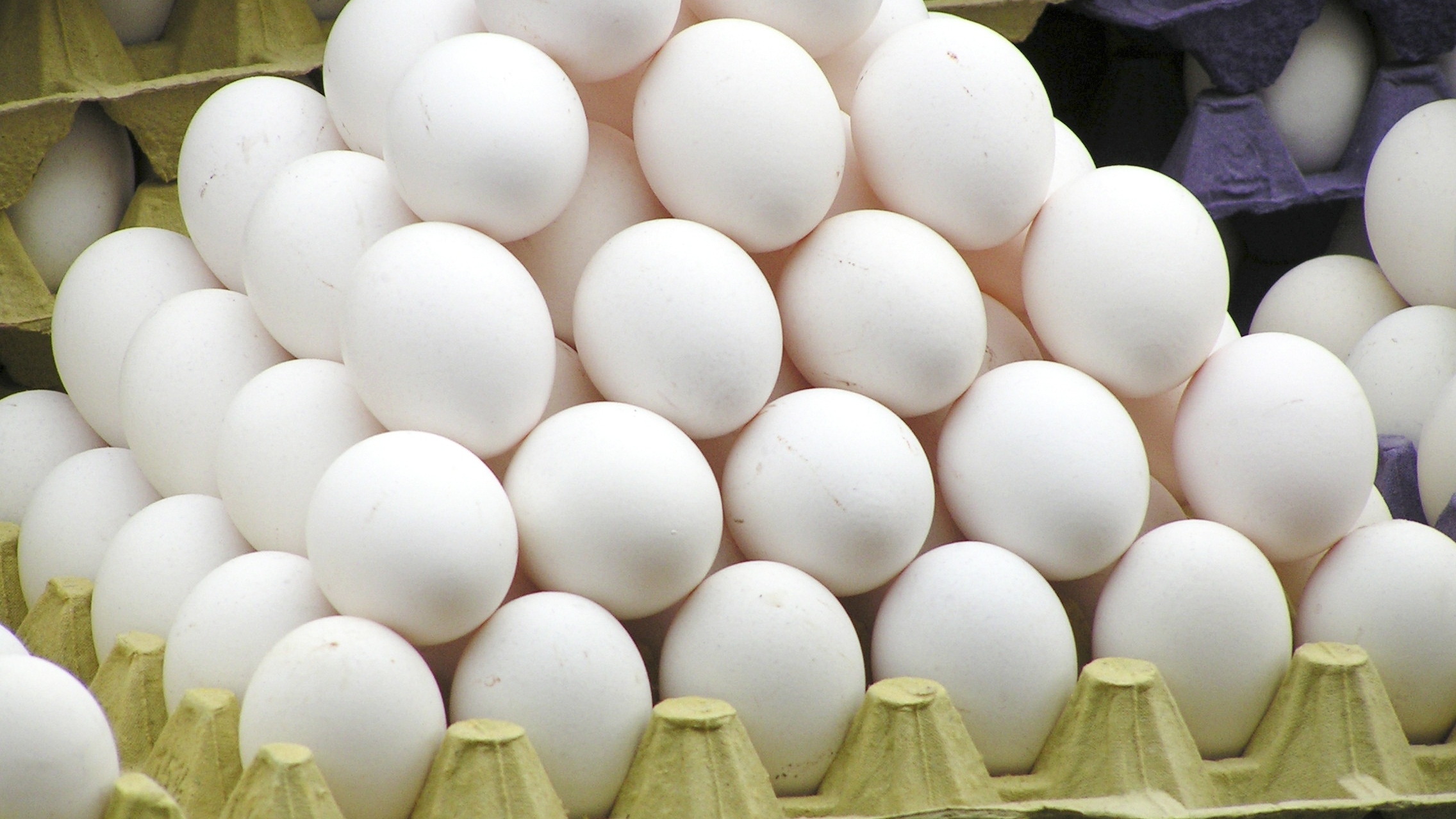 Торговые сети России продают яйца и куриное мясо себе в убыток