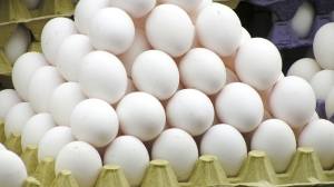 В МИДе заявили об убедительном росте объема поставок белорусских яиц