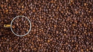 Петербуржцам рассказали, может ли цикорий заменить кофе