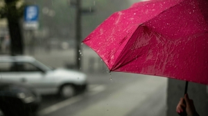 Не забудьте зонт: в пятницу в Петербурге будет тепло, но дождливо