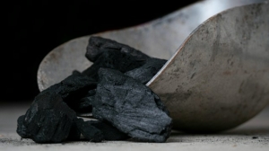 Детский санаторий в Курортном районе закупит уголь для кочегарки за 2 млн
