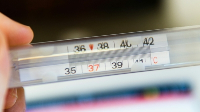 Эксперты Авито Работы озвучили правила оформления и расчета больничного по уходу за ребенком