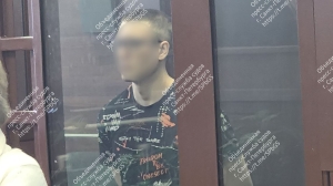 Кандидат в диверсанты: в Петербурге суд продлил арест поджигателю релейного шкафа уже по статье о диверсии