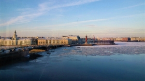 Комитет по благоустройству пытается улучшить окружающую среду Петербурга, но пока не может