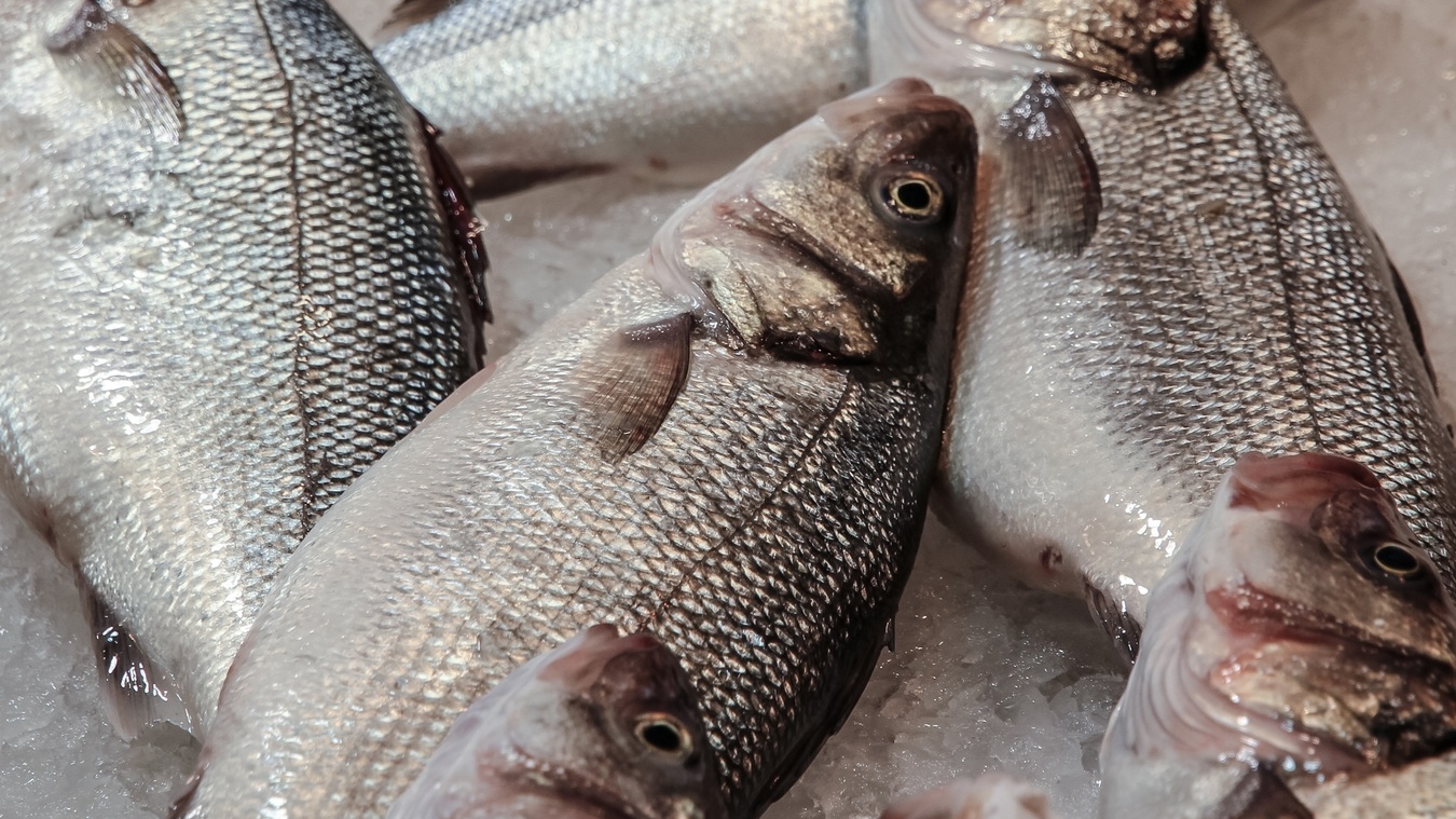Поставили рекорд: российские рыболовы за год выловили почти 5,5 млн тонн рыбы