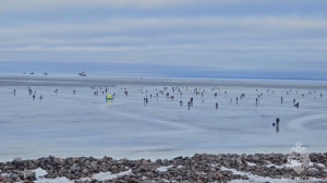 Спасатели сняли 35 рыбаков с дрейфующей льдины в Финском заливе