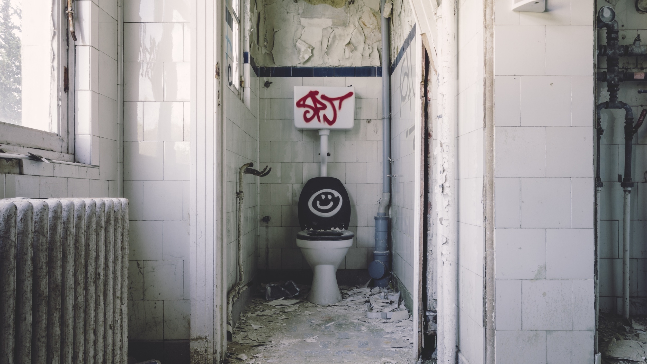 Фото Женщина туалет, более 87 качественных бесплатных стоковых фото