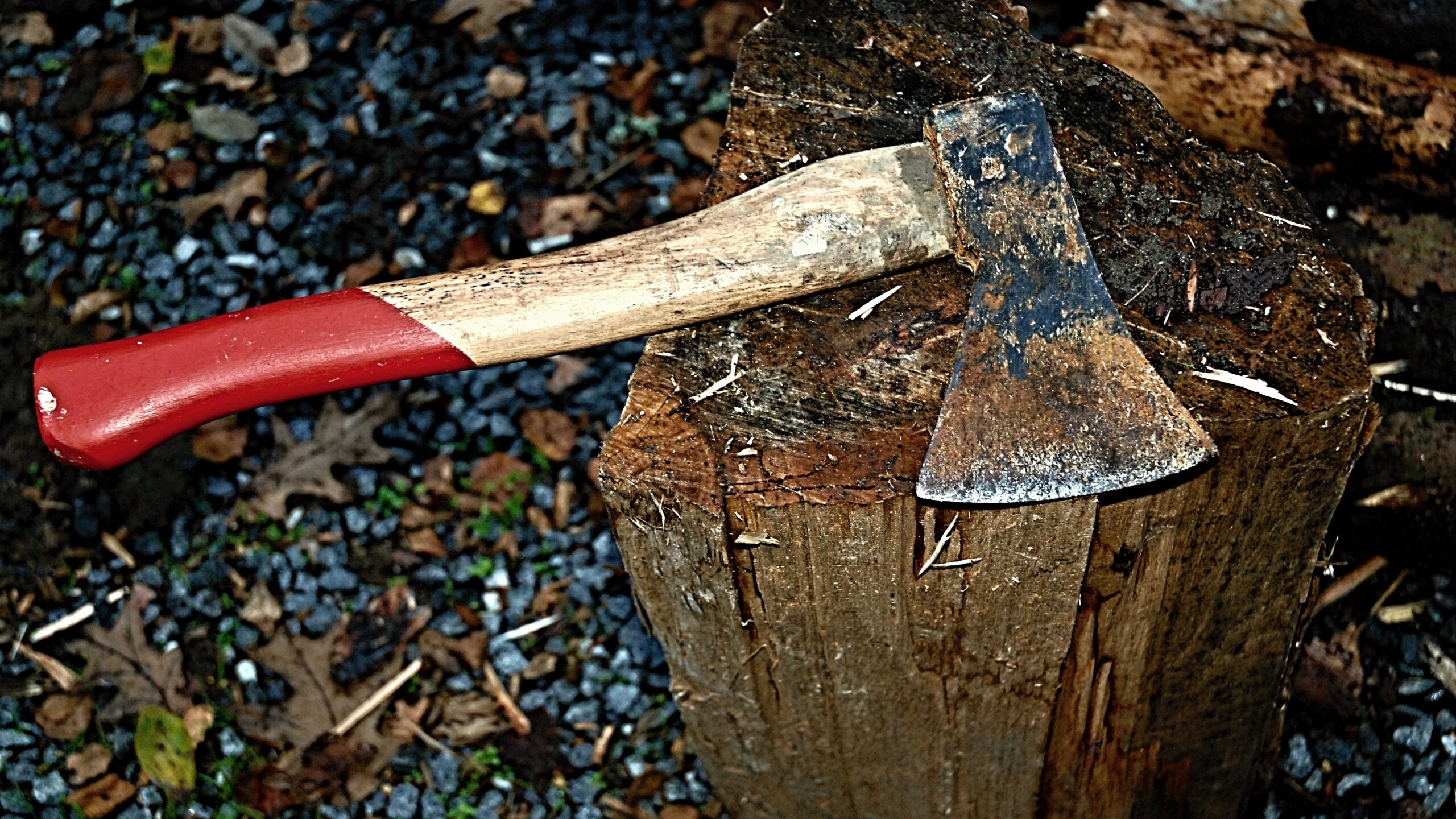 В Агалатово подросток оставил семиклассника без пальцев после неудачной рубки дров