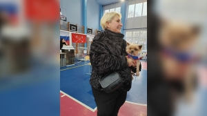 В Петербурге спасенный из мусора йорк Счастливчик пришел «голосовать»