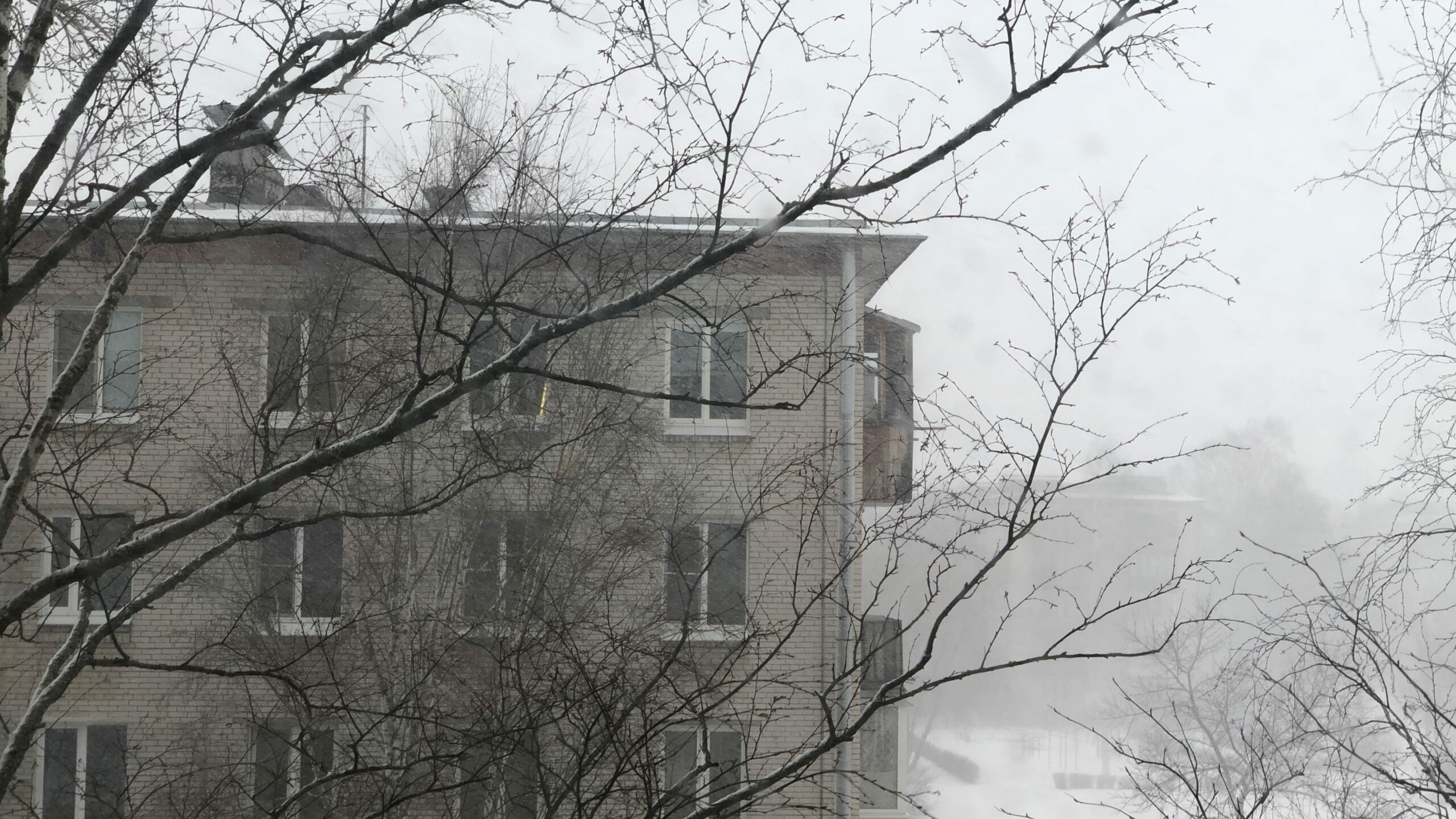 Столица бьет рекорд: Петербург уступил в снежной гонке заметенной Москве